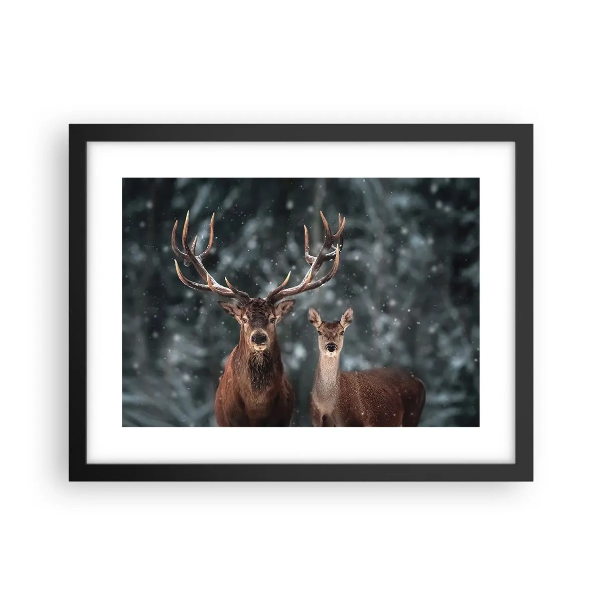 Plakat i sort ramme - Skovens herre og hans kone - 40x30 cm