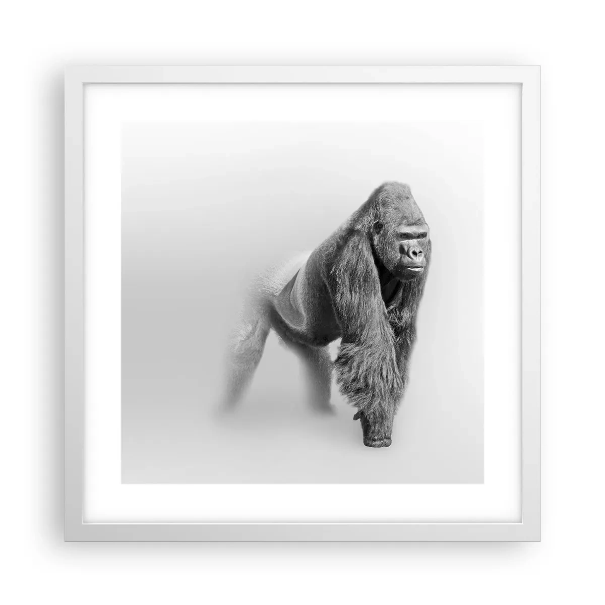 Plakat i hvid ramme - Selvsikker på sin styrke - 40x40 cm