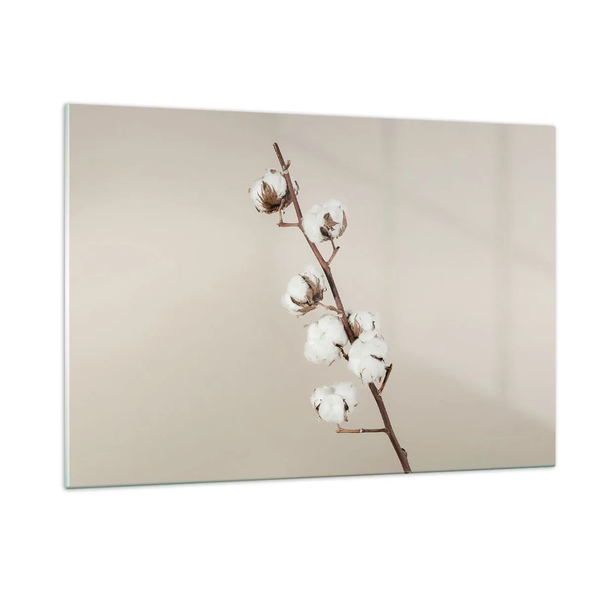 Billede på glas - Ved kilden til blødhed - 120x80 cm