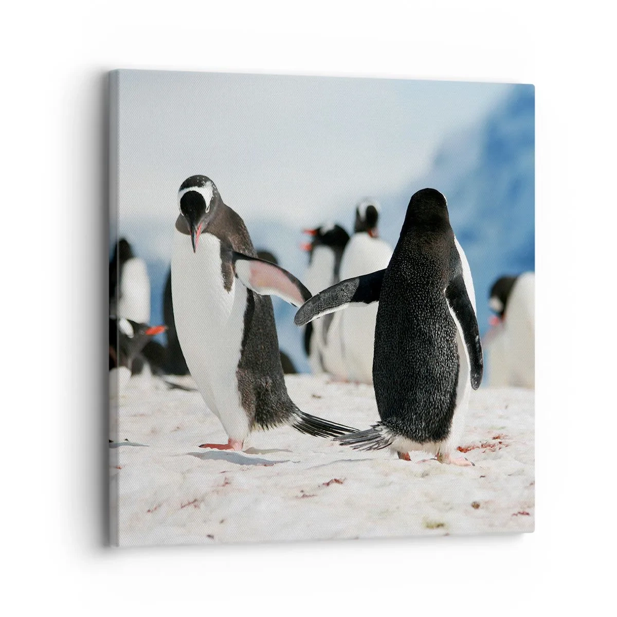 Lærredstryk - Billede på lærred - Danser i sneen - 30x30 cm