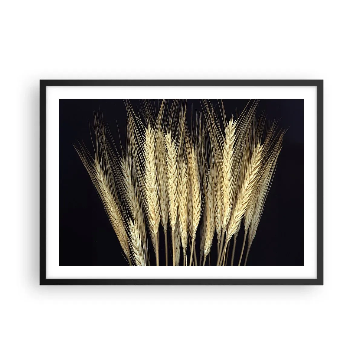 Plakat i sort ramme - Rustik magi - 70x50 cm