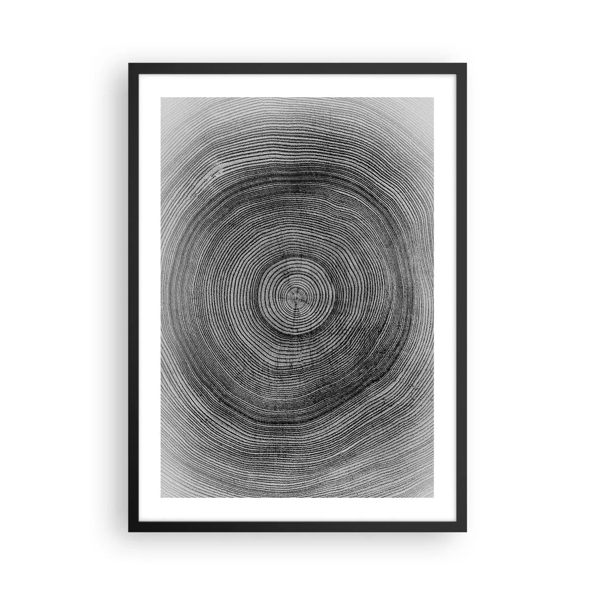 Plakat i sort ramme - Sort-hvid grafik, der viser et tværsnit af en træstamme - 50x70cm - Et tegn på tiden - Moderne vægdekoration til stue og soveværelse ARTTOR