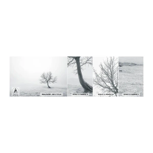 Fototapet Prøve Standard Eco - Mod intetheden - Landskab, Træ, Natur - 100x30 cm