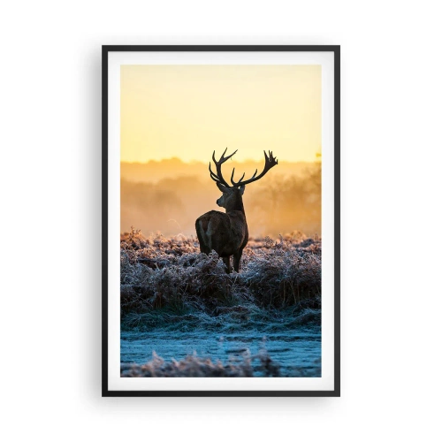 Plakat i sort ramme - Kronet på sine godser - 61x91 cm