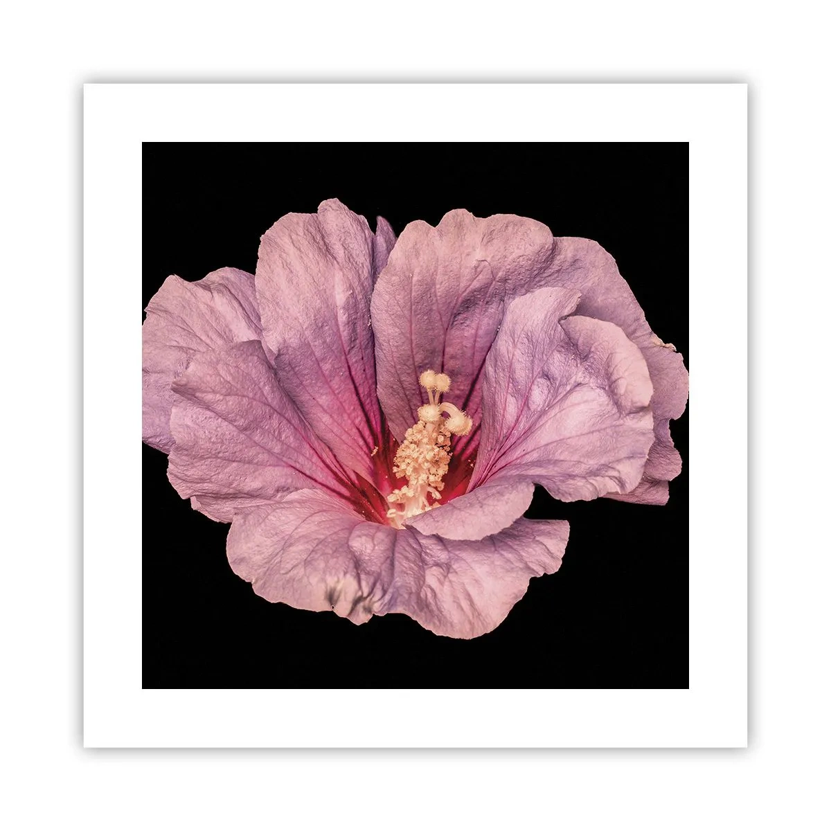 Plakat - Lige i hjertet - 40x40 cm