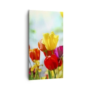 Lærredstryk - Billede på lærred - Alle solens farver - 55x100 cm