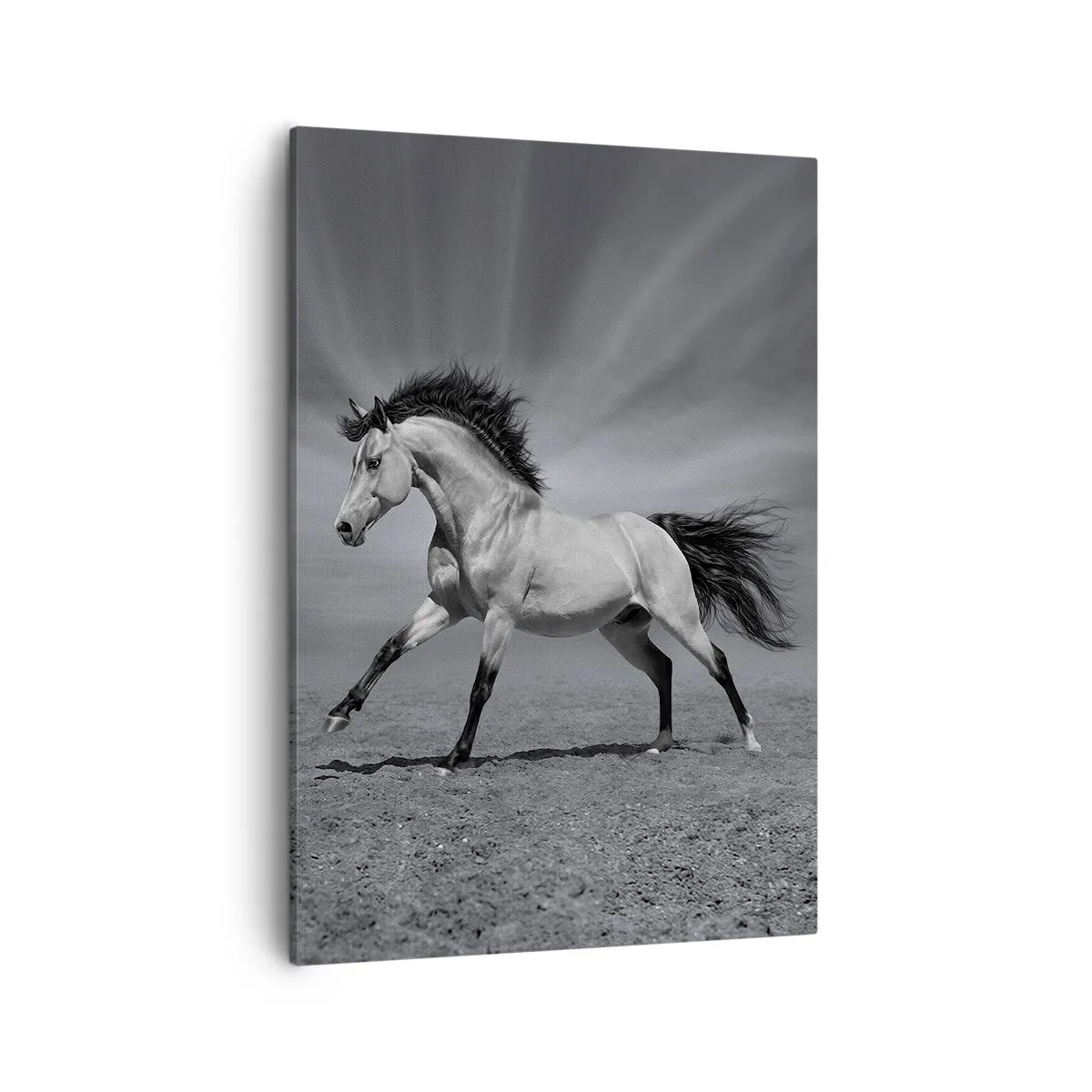 Lærredstryk - Billede på lærred - Født til glæde - 50x70 cm