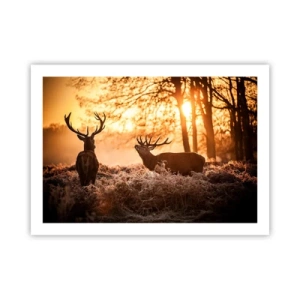 Plakat - En jægerdrøm - 70x50 cm