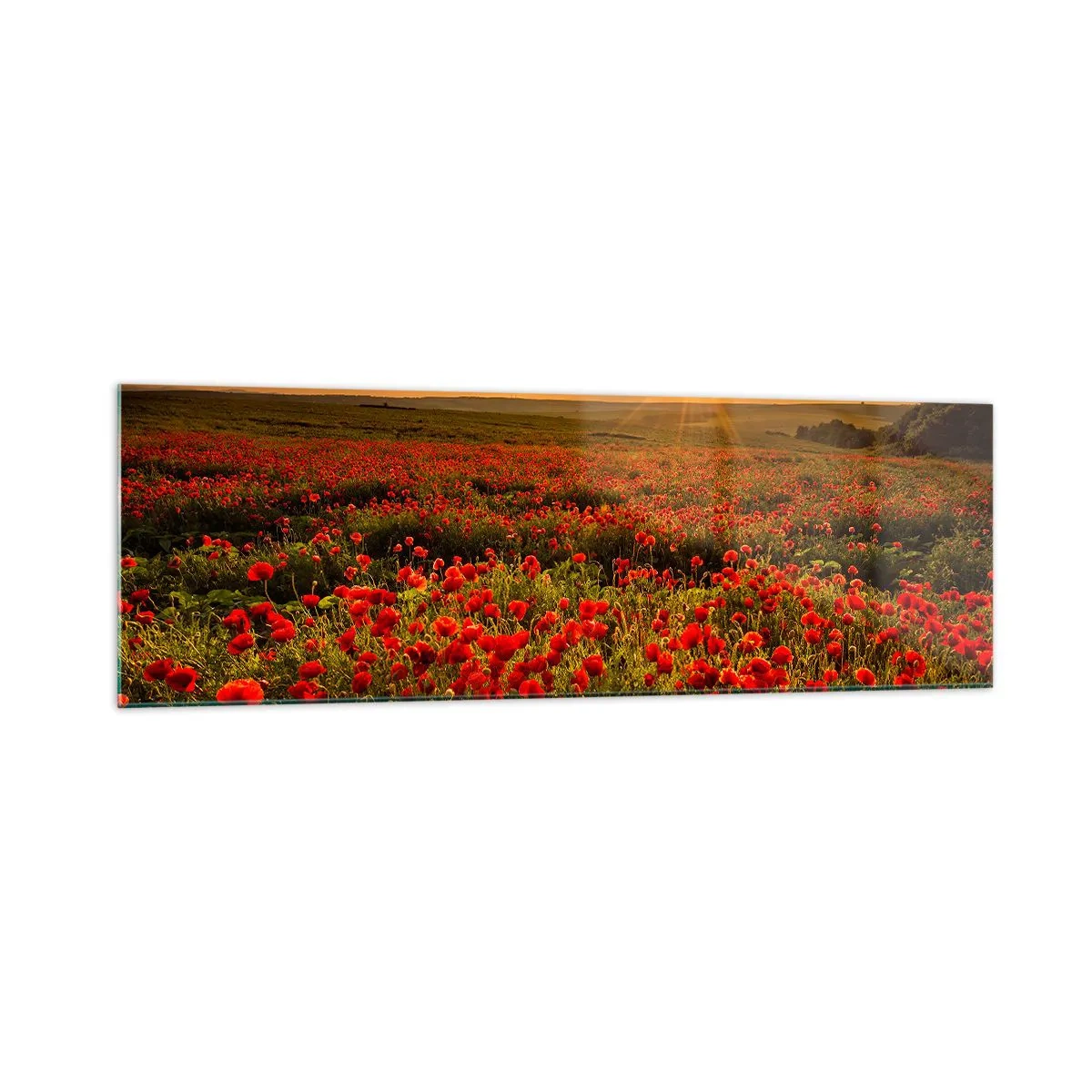 Billede på glas - Blandt bølgerne af raslende enge, blandt flodblomster - 160x50 cm
