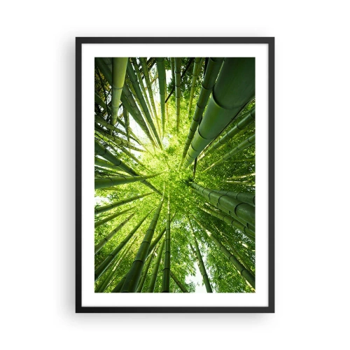 Plakat i sort ramme - Udsigt op i den tætte bambusskov - 50x70cm - I en bambuslund - Moderne vægdekoration til stue og soveværelse ARTTOR