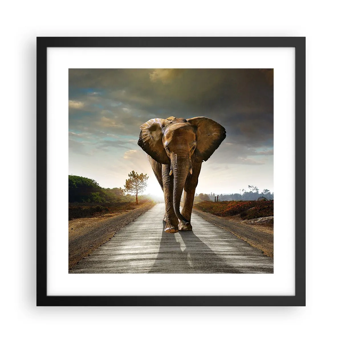 Plakat i sort ramme - Og slet ikke i en porcelænsbutik - 40x40 cm