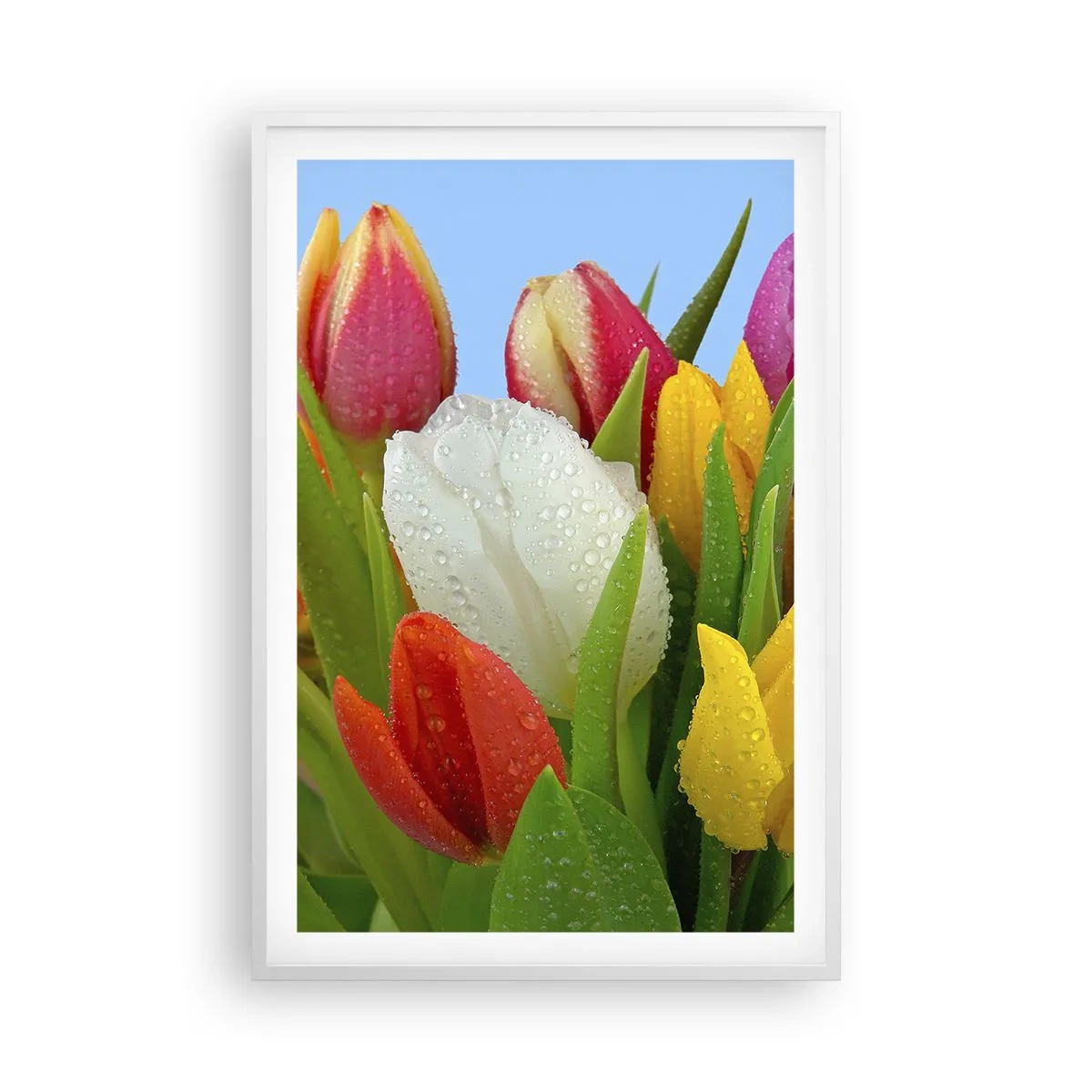 Plakat i hvid ramme - En blomstret regnbue i dugdråber - 61x91 cm