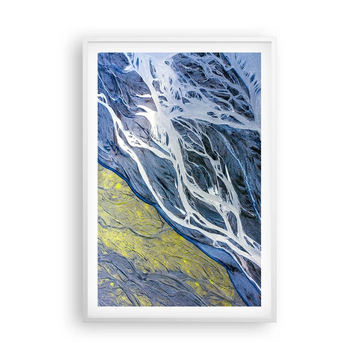 Plakat i hvid ramme - Naturens hulemalerier - 61x91 cm