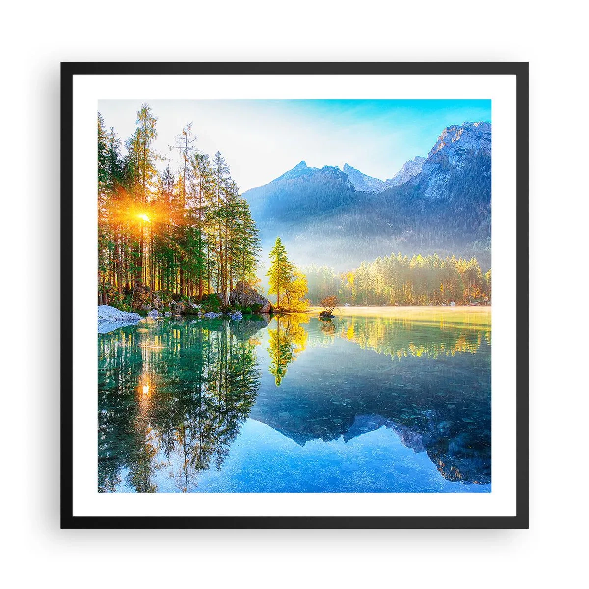 Plakat i sort ramme - Majestæt og sødme - 60x60 cm