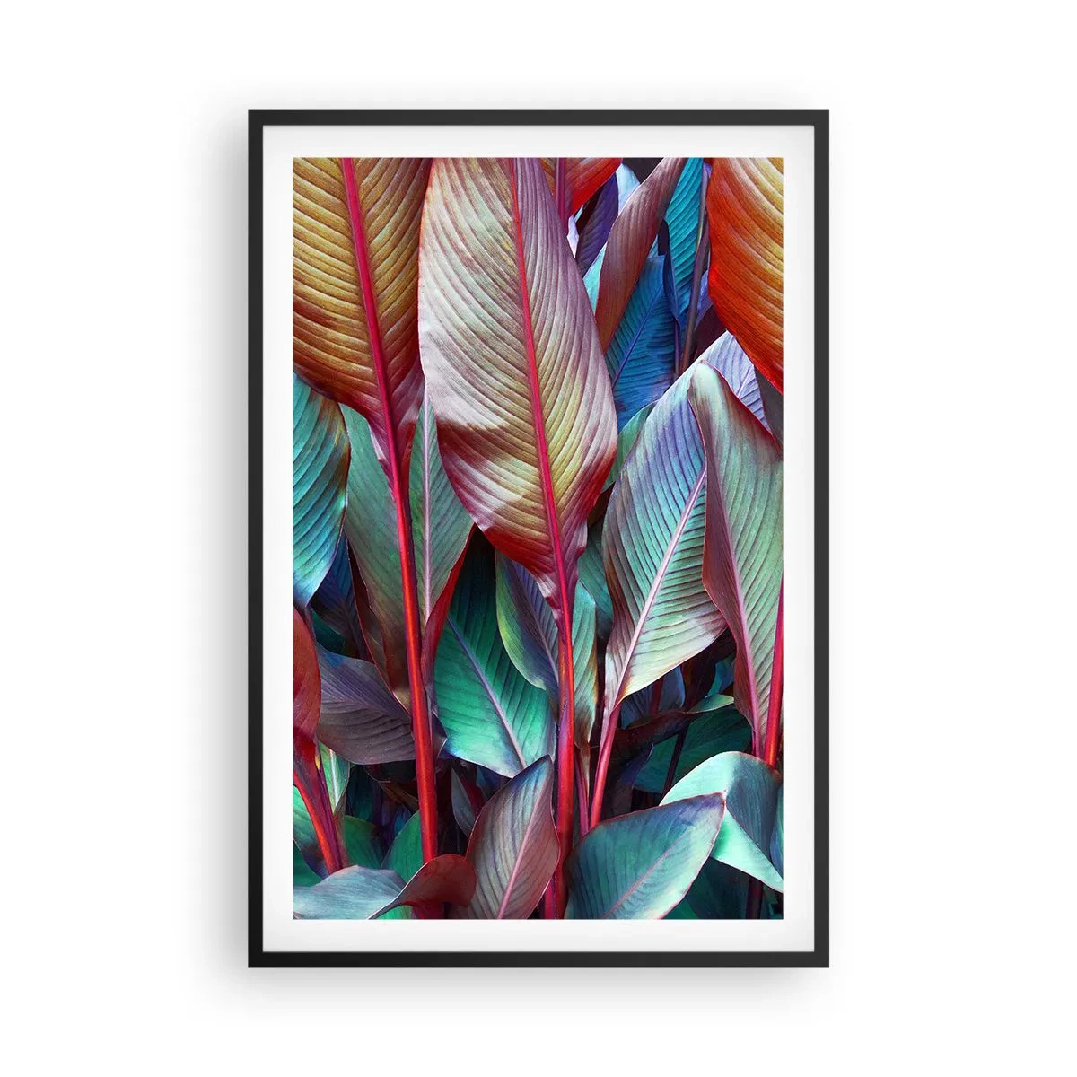 Plakat i sort ramme - Farverigt krat - 61x91 cm