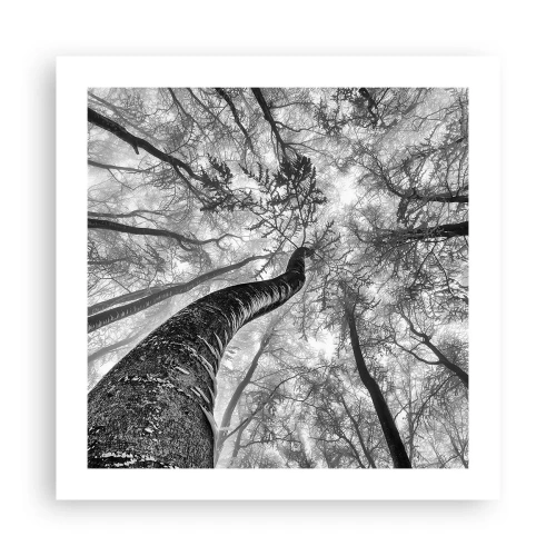 Plakat - Kapløb mod lyset - 50x50 cm