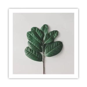 Plakat - Tegning af selve naturen - 60x60 cm