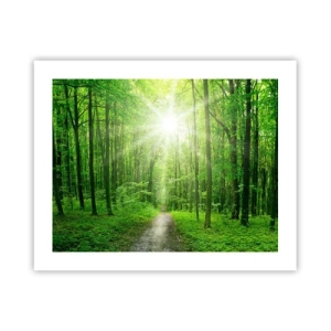 Plakat - Grøn katedral - 50x40 cm