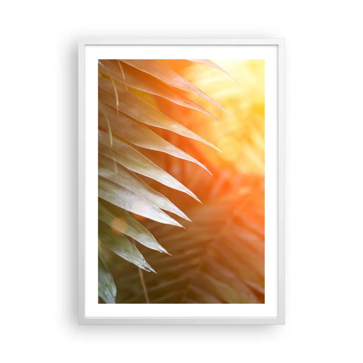 Plakat i hvid ramme - Morgen i junglen - 50x70 cm