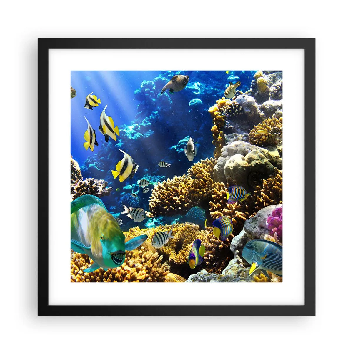 Plakat i sort ramme - Tung trafik på feriestien - 40x40 cm