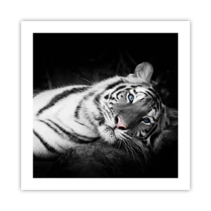 Plakat - Vildskab og fred - 50x50 cm