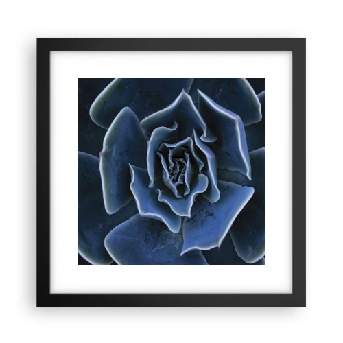 Plakat i sort ramme - Ørkenblomst - 30x30 cm
