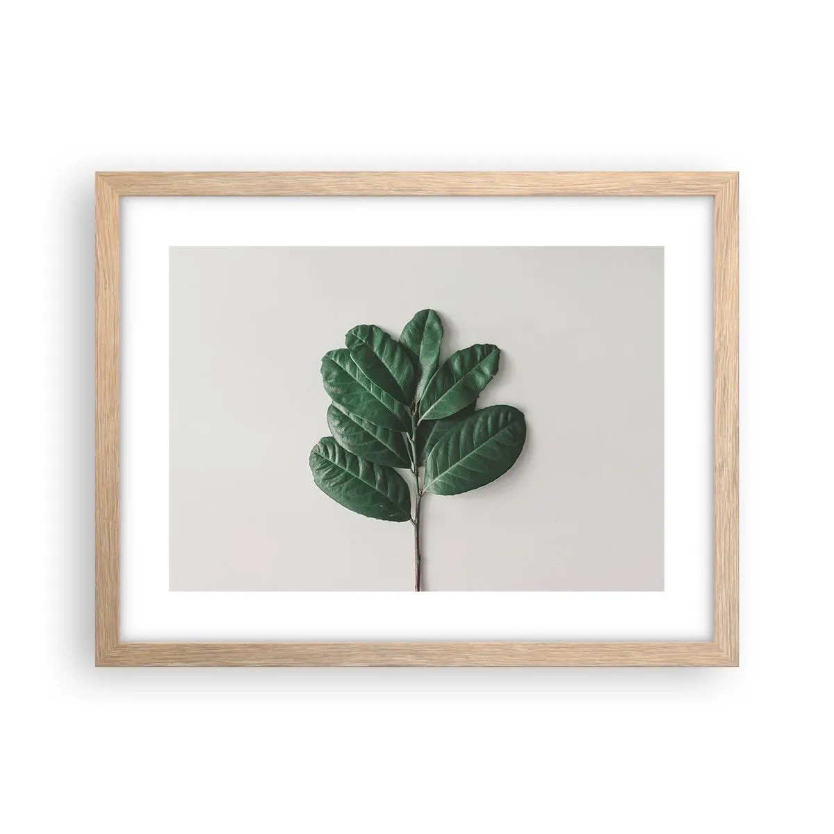 Plakat i ramme af lyst egetræ - Tegning af selve naturen - 40x30 cm