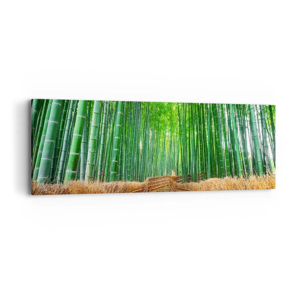 Lærredstryk - Billede på lærred - Essensen af den asiatiske natur - 90x30 cm