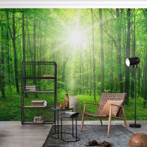 Fototapet Standard Eco - Grøn katedral - Landskab, Skov, Solens stråler - 350x256 cm