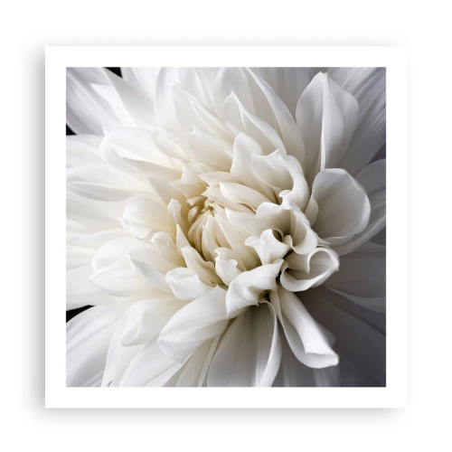 Plakat - Morgenbrud - 60x60 cm