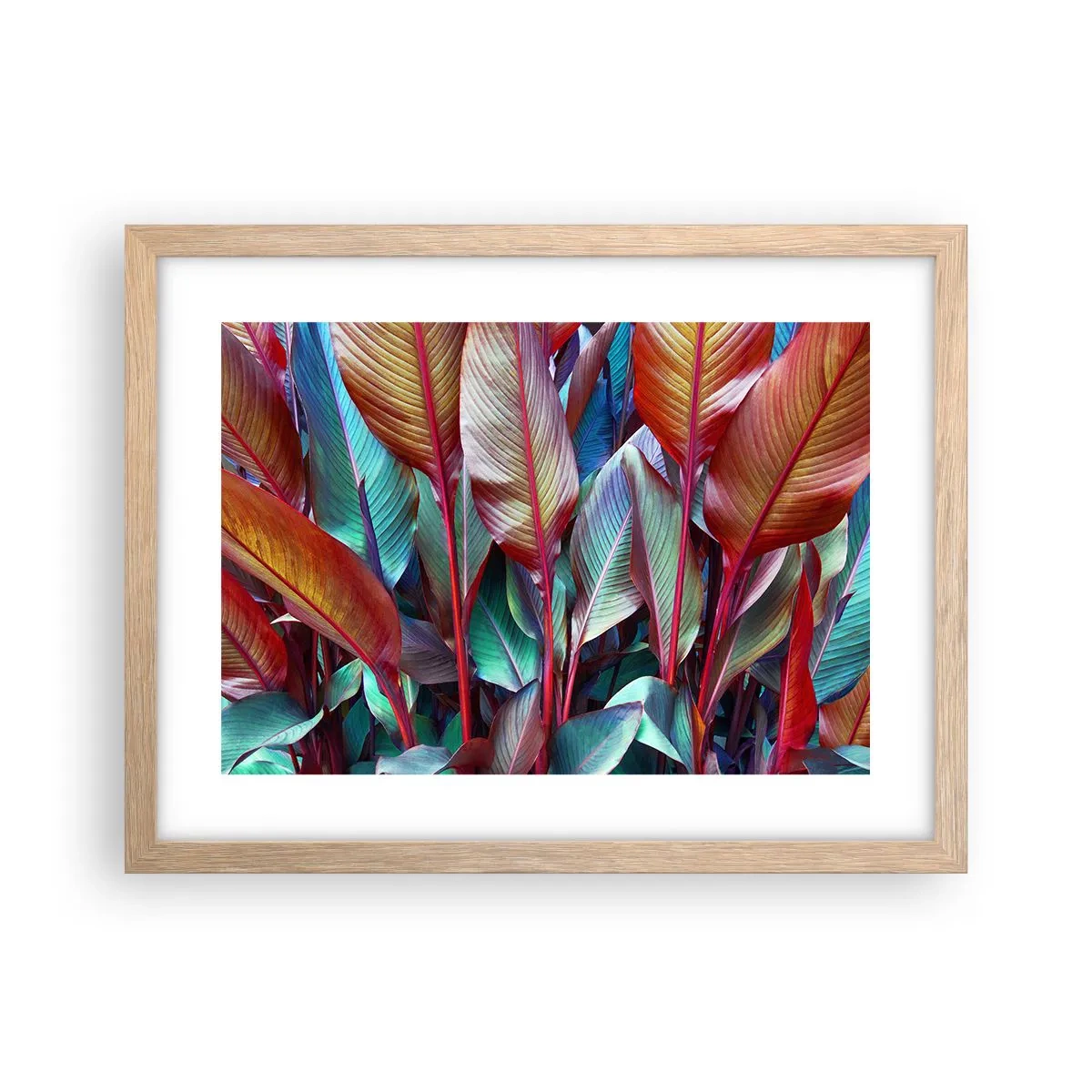 Plakat i ramme af lyst egetræ - Farverigt krat - 40x30 cm