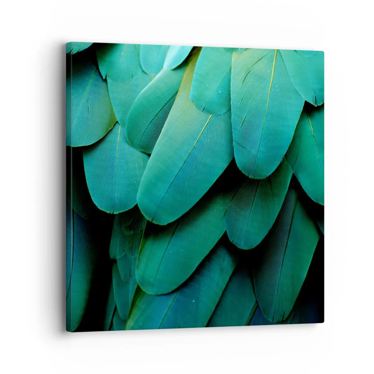 Lærredstryk - Billede på lærred - Papegøjenaturens præcision - 30x30 cm