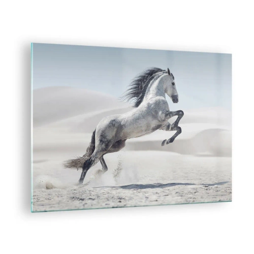 Billede på glas - En hvid hest springer mod en baggrund af ørkenklitter - 70x50cm - Arabisk prins - Moderne vægdekoration til stue og soveværelse ARTTOR