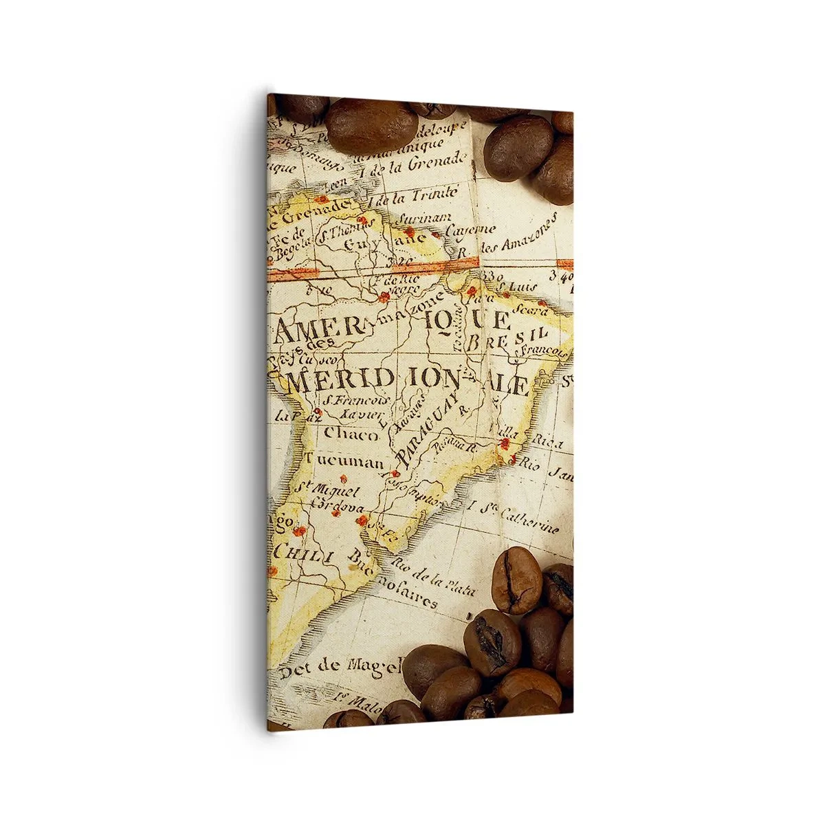 Lærredstryk - Billede på lærred - Hvor kommer den bedste kaffe fra? - 65x120 cm