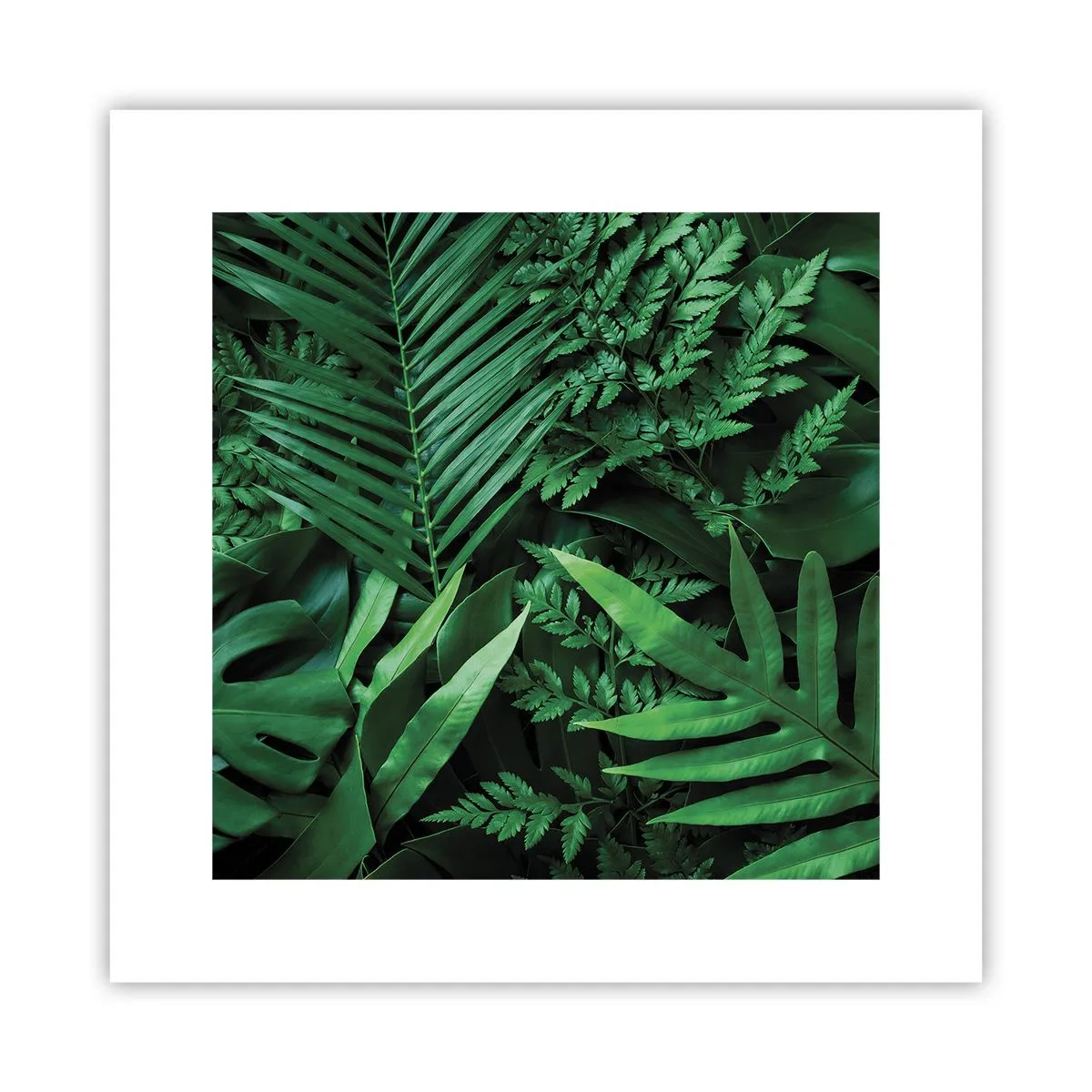 Plakat - Kranset i grønt - 30x30 cm