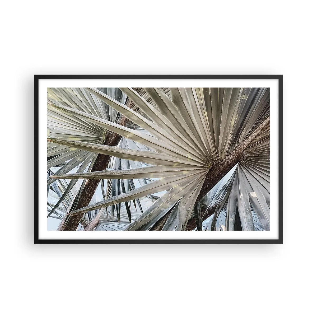 Plakat i sort ramme - Ventilatorer i troperne - 91x61 cm