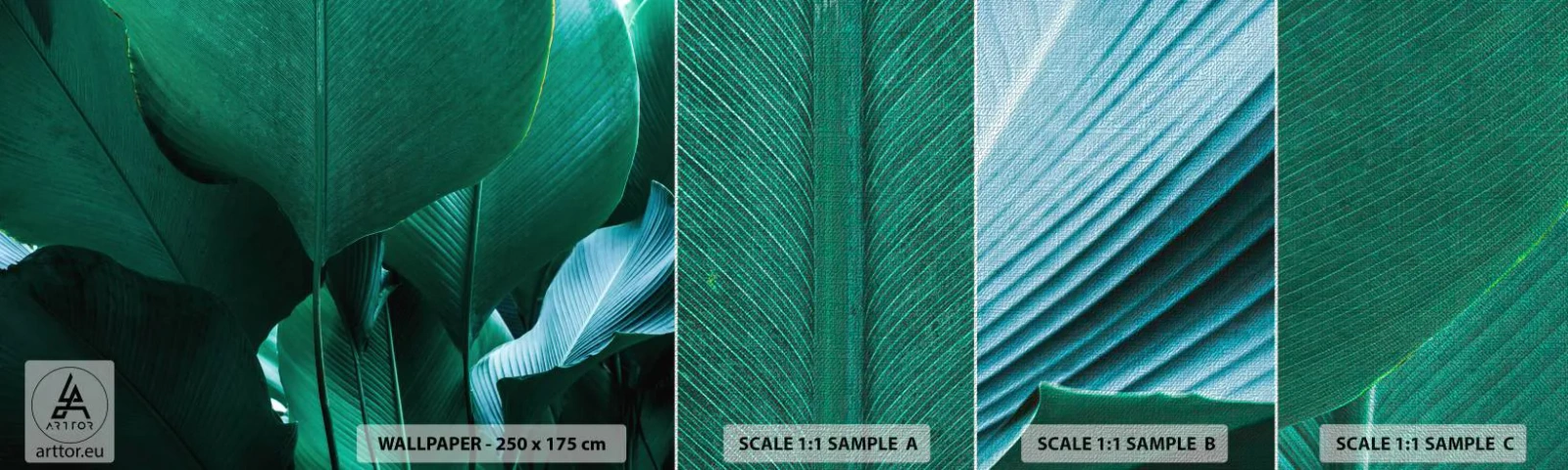 Prøve Fototapet Premium Canvas - Mod lyset - Bananblad, Banantræ, Plante - 100x30 cm