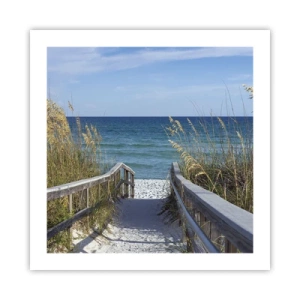 Plakat - I solen, i vinden - 50x50 cm