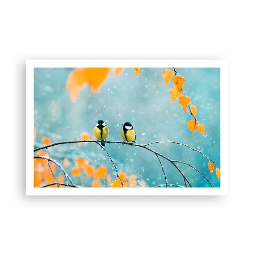 Plakat - Sladder om fugle - 91x61 cm