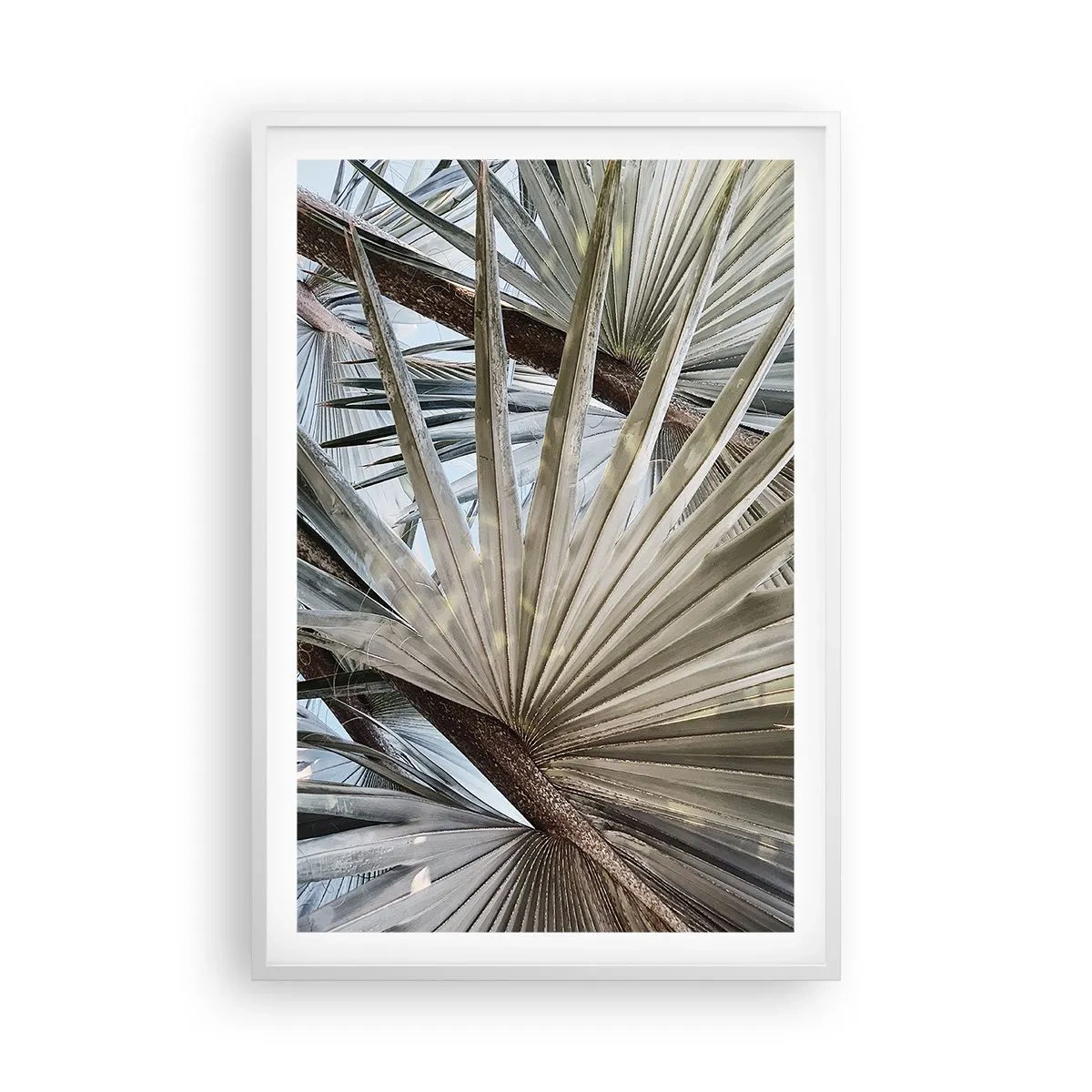 Plakat i hvid ramme - Ventilatorer i troperne - 61x91 cm