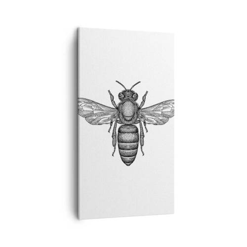 Lærredstryk - Billede på lærred - Portræt af et insekt - 45x80 cm