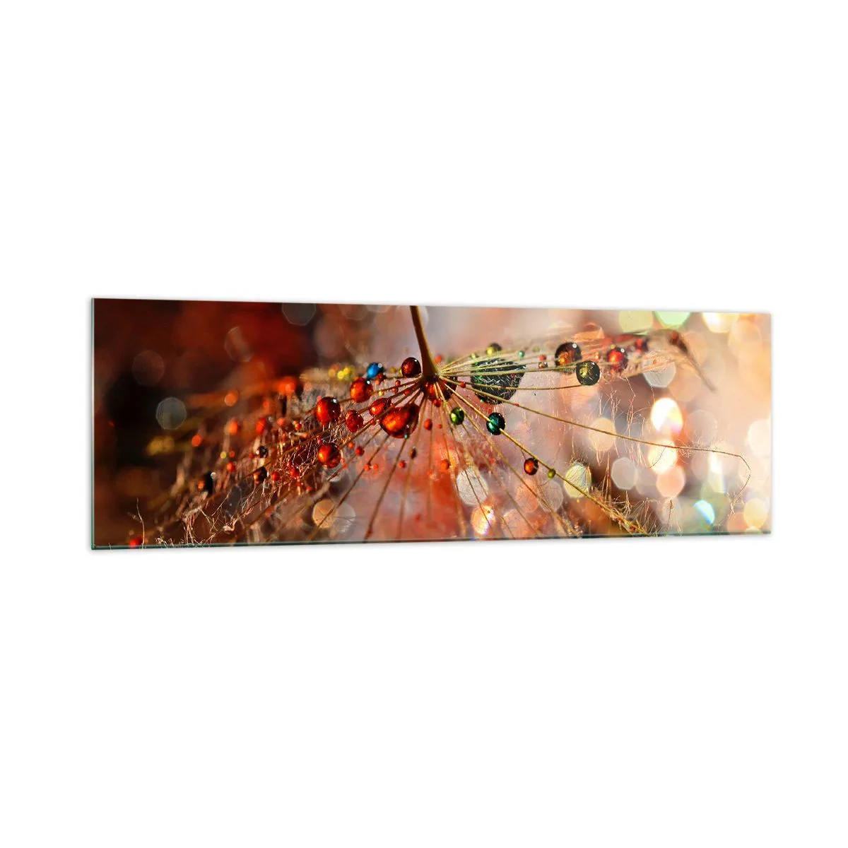 Billede på glas - Trådet på et edderkoppespind - 160x50 cm