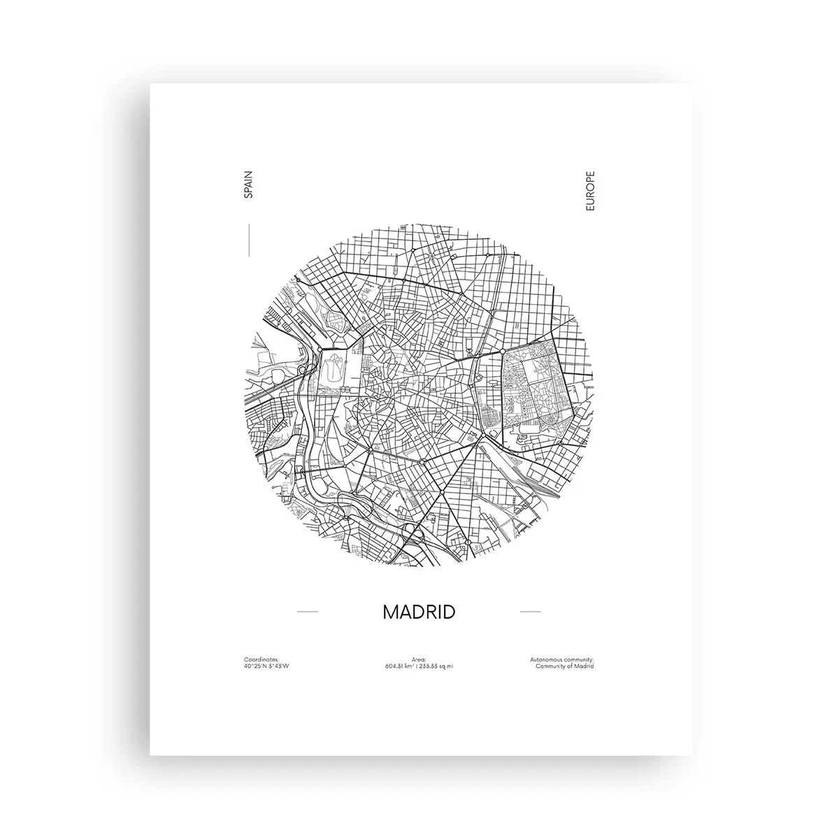 Plakat - Madrids anatomi - 40x50 cm