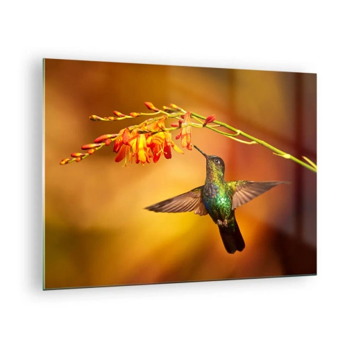 Billede på glas - Kolibri ved blomster i en gylden glød - 70x50cm - Maya lysets budbringer - Moderne vægdekoration til stue og soveværelse ARTTOR