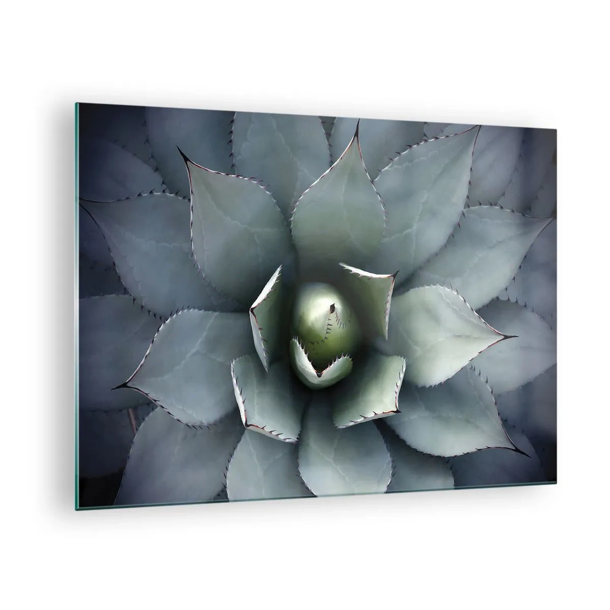 Billede på glas - Lokkemad og advarsler - 70x50 cm