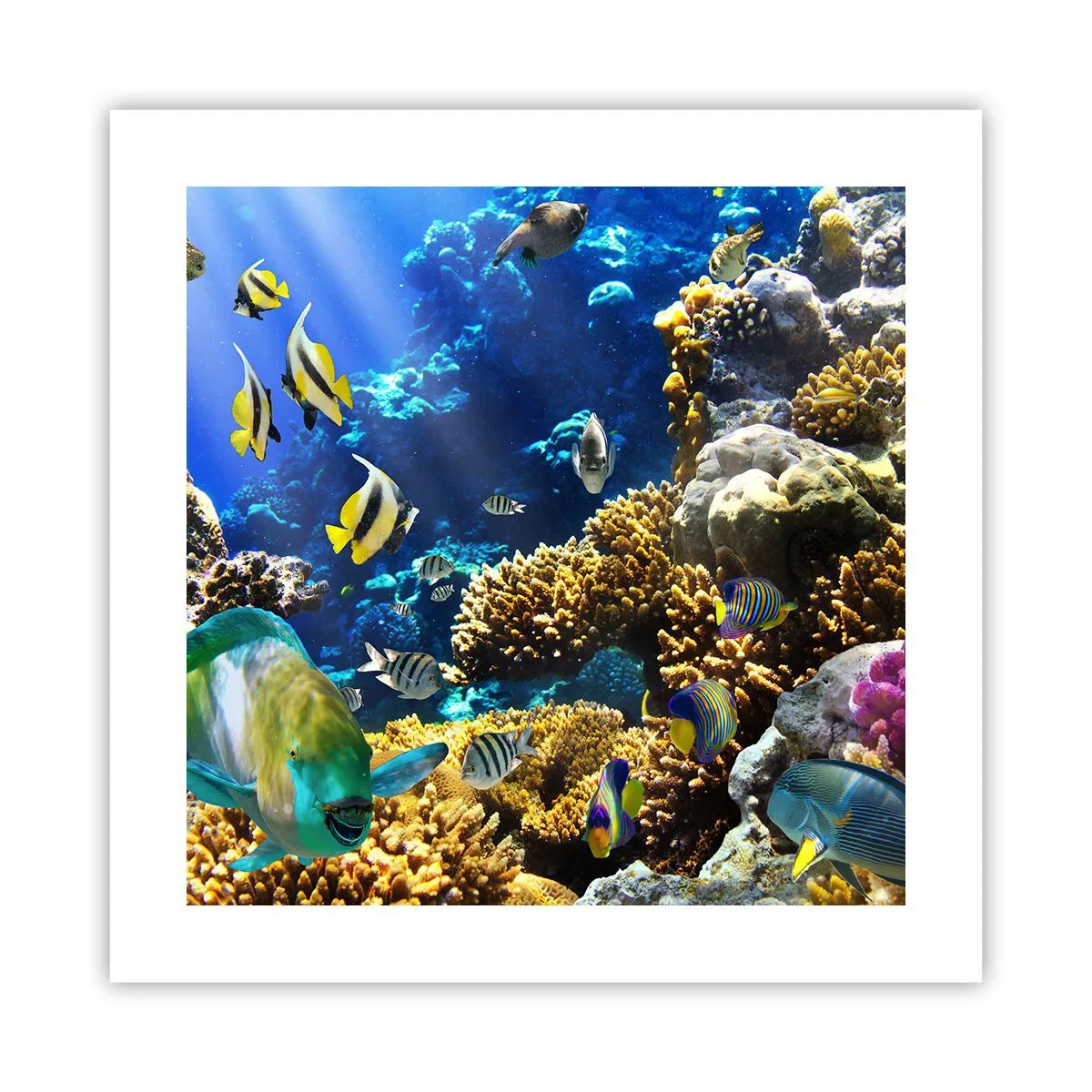 Plakat - Tung trafik på feriestien - 40x40 cm