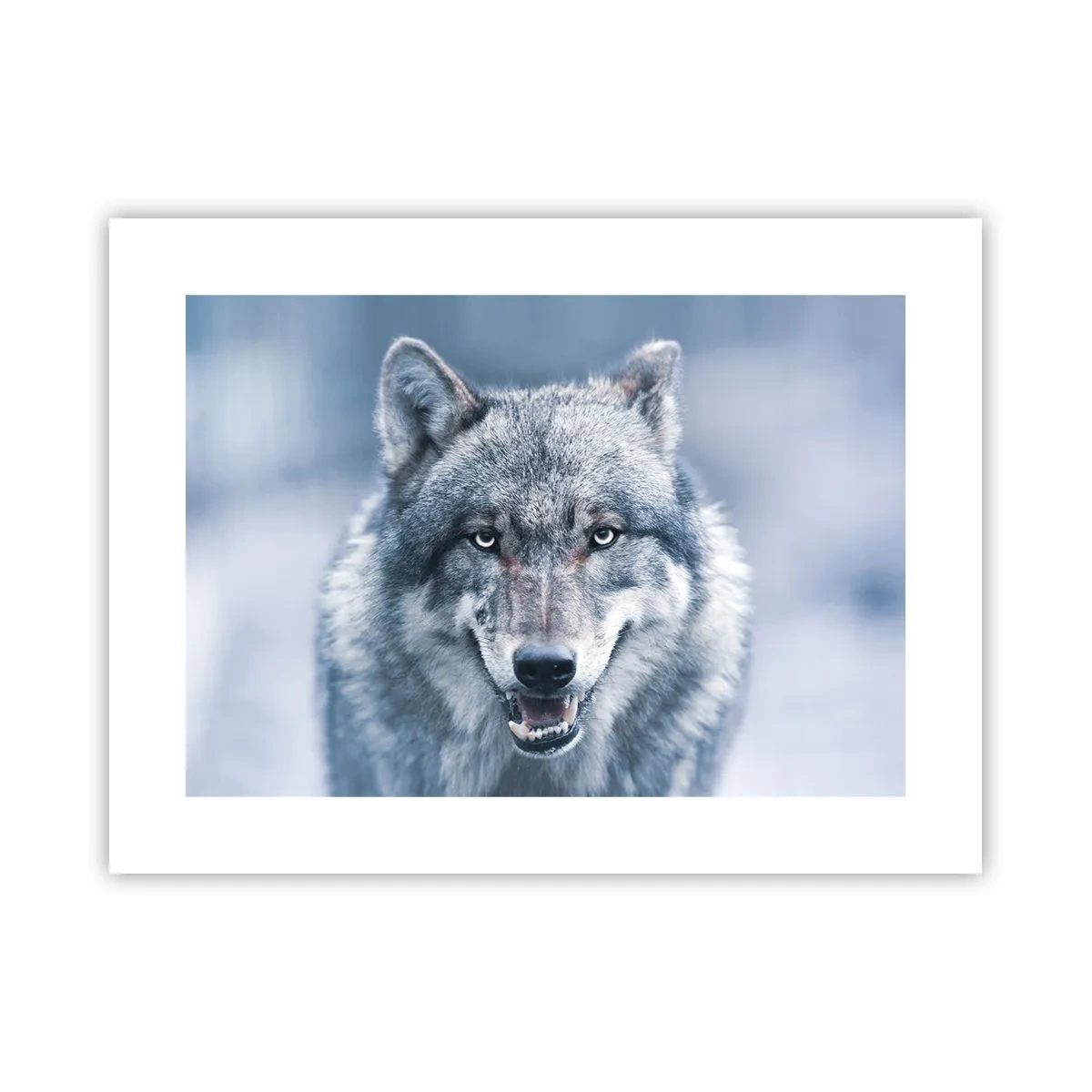 Plakat - Vil du tage udfordringen op? - 40x30 cm