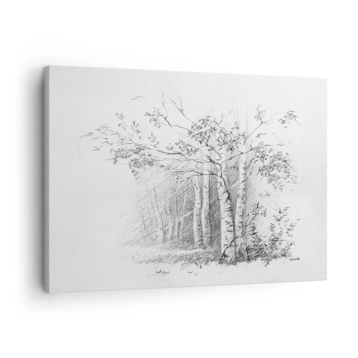 Lærredstryk - Billede på lærred - En tegning af en birkeskov i en diskret blyantskitse - 70x50cm - Lyset fra birkeskoven - Moderne vægdekoration til stue og soveværelse ARTTOR