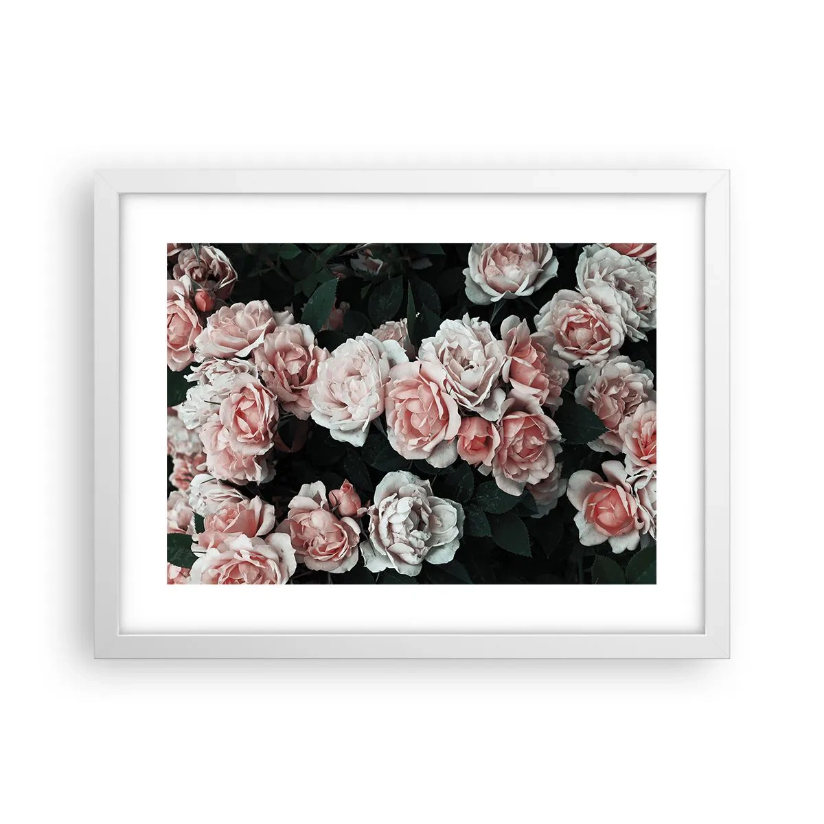 Plakat i hvid ramme - Lyserød ansamble - 40x30 cm