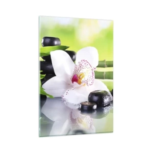 Billede på glas - Kølig friskhed - 80x120 cm